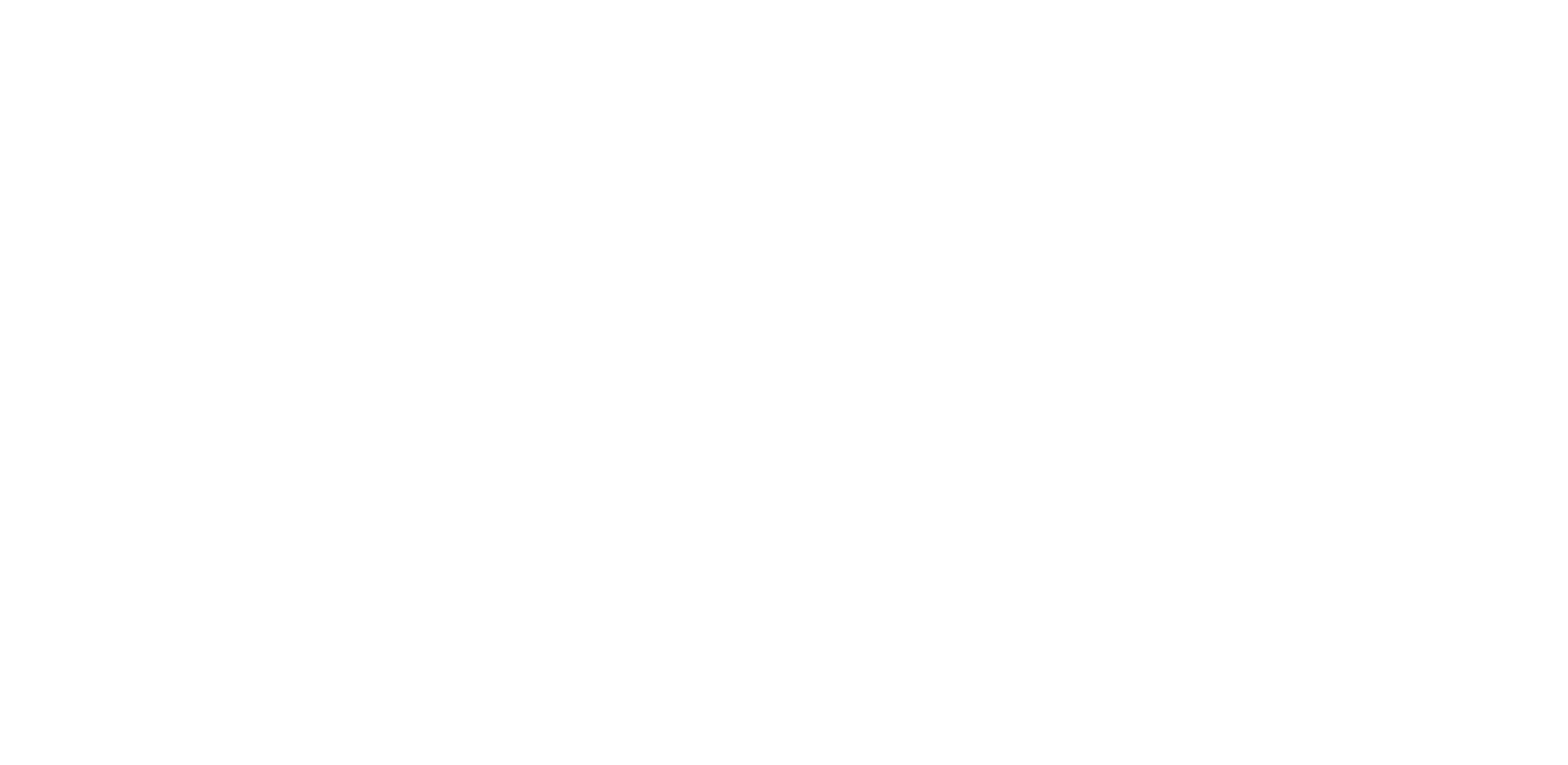 Zeeaudio Logo